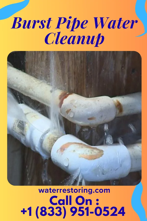 Burst Pipe Water Cleanup in Meade, KS