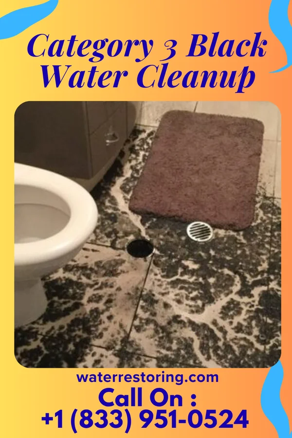 Category 3 Black Water Cleanup in Meade, KS