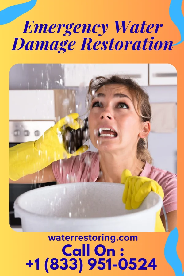 Emergency Water Damage Restoration in Meade, KS