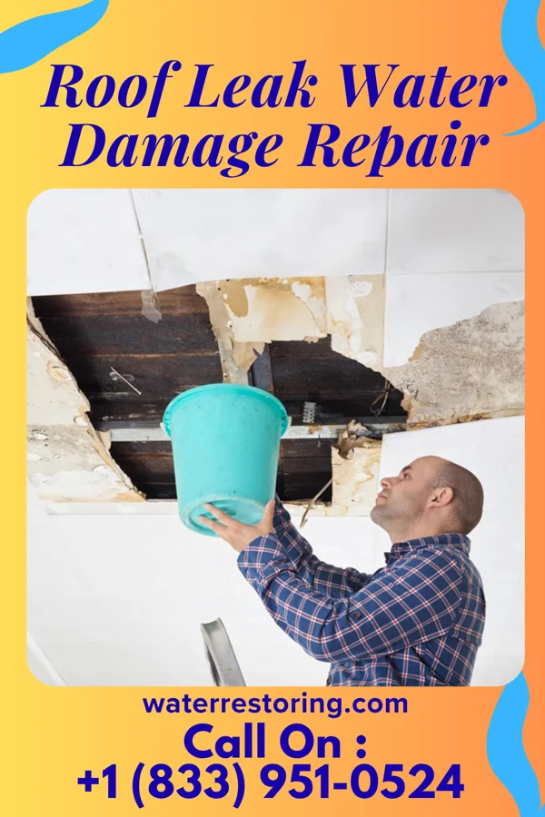 Roof Leak Water Damage Repair in Meade, KS