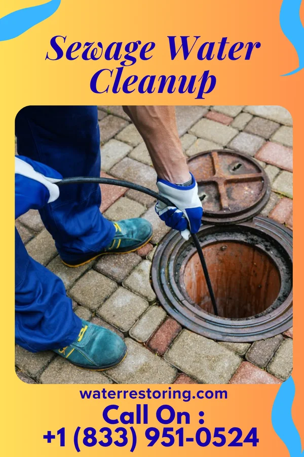 Sewage Water Cleanup in Meade, KS